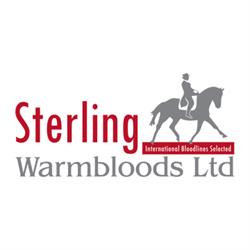 Sterling Warmbloods Ltd