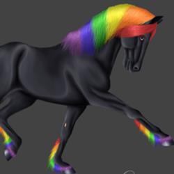 Spectrum Equestrian