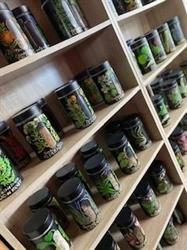 Nurture by Nature Herbal Dispensary
