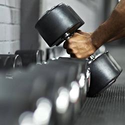 eFitness Yugong Bear
