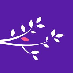 The Potion Tree - Herbal wellness and beauty