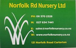 Norfolk Road Nursery