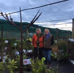 Tasman Bay Estates Nursery