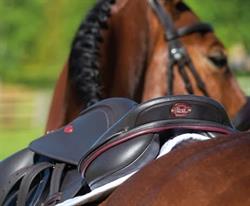 Canterbury Equestrian Kumeu Branch