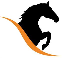 Saddlery Direct
