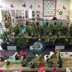 Tokoroa Garden Centre