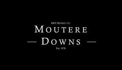 Moutere Downs Romney & Poll Dorset