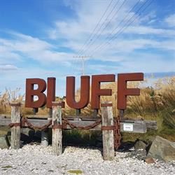 Bluff Real Estate