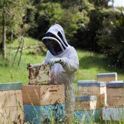 Dunedin Beekeepers Club