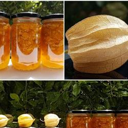 Dilly Dally Orchard
