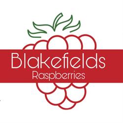 Blakefields