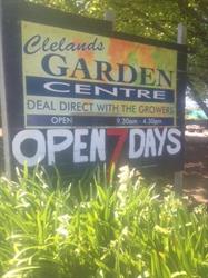 Clelands garden centre