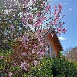 Orere Point Top 10 Holiday Park