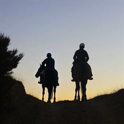 Heavenly Horse Treks