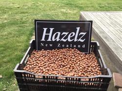 Hazelz new zealand
