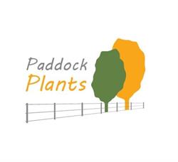 Paddock Plants Limited