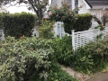 Oak tree cottage