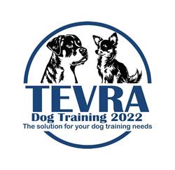 Tevra Dog Training 2022