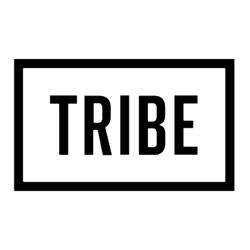 TRIBE Auckland Fort Street