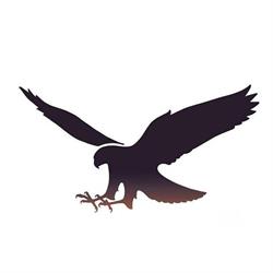 Wingspan Birds of Prey Trust