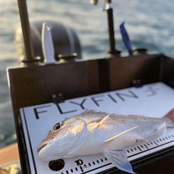 FlyFin Boats