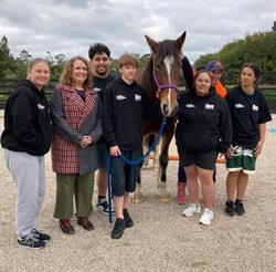 Equine Dynamics