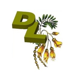 Design & Landscape Ltd Bill Holden