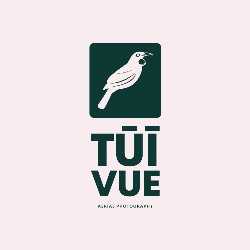Tui Vue