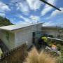exterior house painter wellington nz 6.jpeg