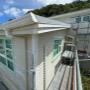exterior house painter wellington nz 3.jpeg