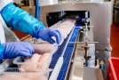 Rapid Facility Services