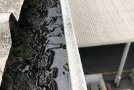 Rapid Facility Services