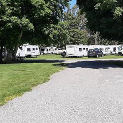 Mt Somers Domain Camping Ground