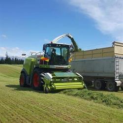 Chapman Agriculture Ltd