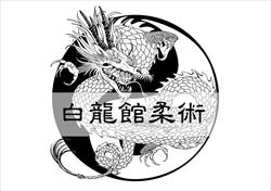 Hakuryukan Martial Arts Ahuriri