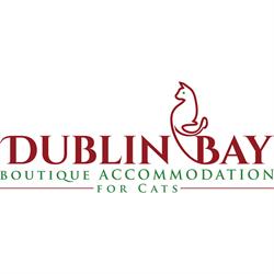 Dublin Bay Boutique Accommodation for Cats