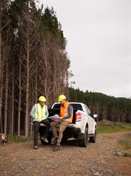 Forestry Sales Limited