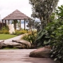 My Landscapes garden3