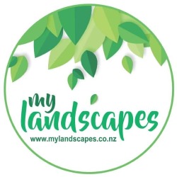 My Landscapes