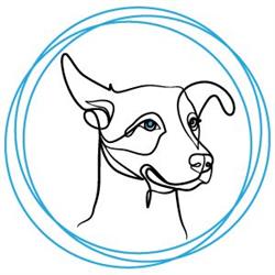 Bowow Dog Grooming