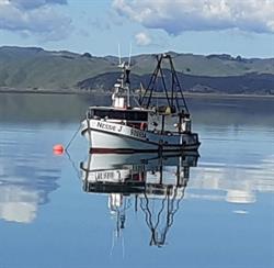 Kawhia Seafoods Ltd