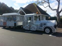 Mount Maunganui "Pepi Toot" Beach Express