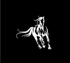 Hauraki Horsemanship