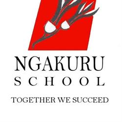 Ngakuru School