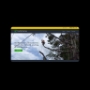 Trust Me Tree Care x Website Creation