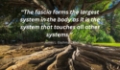 Feel your best inside and out  nurturing emotional and physical wellbeing with myofascial massage