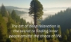 sequoia