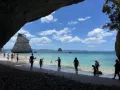 Coromandel Tour