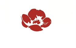 Woodrose Furnishings