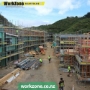 Scaffolding Wellington